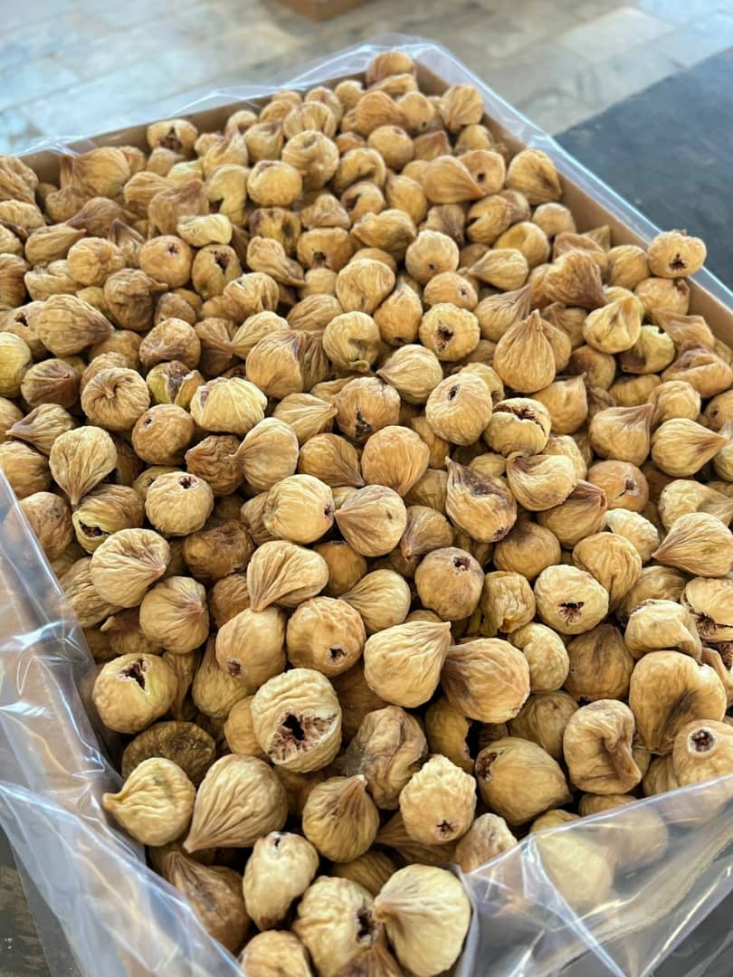 تصویر 1 از فروش انجیر پفکی ضعیف با بهترین قیمت